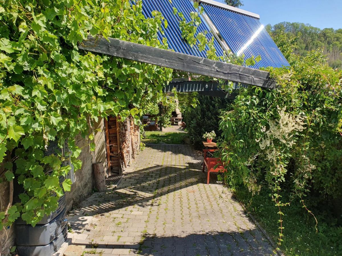 Das Gruene Haus Am Hexenstieg Рубеланд Екстер'єр фото