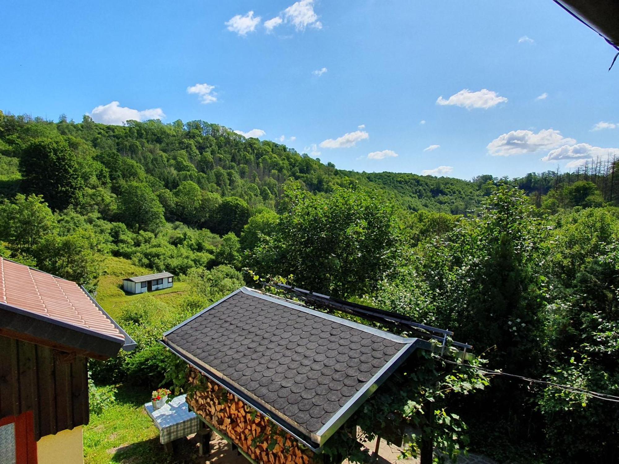 Das Gruene Haus Am Hexenstieg Рубеланд Екстер'єр фото